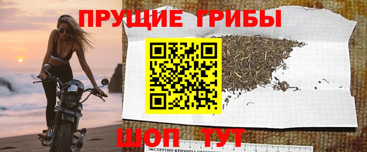 Галлюциногенные грибы мицелий  Галлюциногенные грибы ЛСД  Вход с VPN  где продают   Тавда 